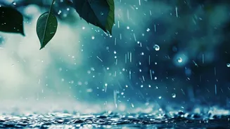August's Particularly Wet Monsoon Stretch Makes A Strong Case For Longer Connection Buffers For Trips
