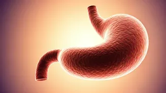 Beat Bloating: Simple Activity Tip from a Gastroenterologist