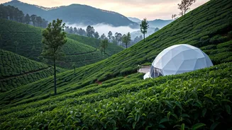 Misty Geodesic Glamping Domes In Munnar Overlook Tea Gardens