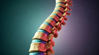Ditch Powerlifting: Focus On Spinal Flexibility This Yoga Day