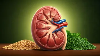 Baba Ramdev's Ayurvedic Secrets for Kidney Health: Natural Remedies to Flush Toxins