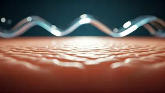 Monsoon Skin Problems Start With A Weak Barrier