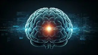 Meta's AI Links Brain Signals To Typed Language