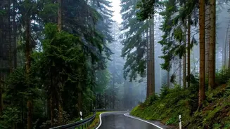Overnight Road Trip Safety Checklist For Driving Through Rainy Ghat Routes