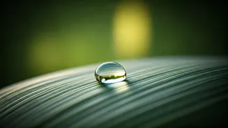 7 Dermatologist-Approved Secrets for Ageless Skin: Unlocking Your Skin's Natural Vitality