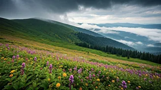These Rainy-Season Treks Look Straight Out Of Heaven