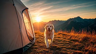 Dogs Are Getting Their Own Nature Travel Era