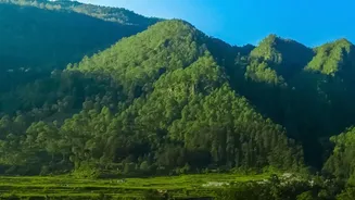 Dong Valley Travel Guide: Chase India’s Earliest Sunrise In Arunachal