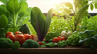 The Gardening Trend Taking Over Cities
