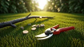 Pruning Is The Easiest Monsoon Prep Move