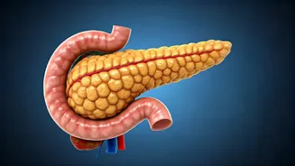 Hidden Metabolic Risks: Addressing South Asian Health