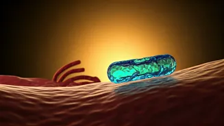 Insulin Resistance & High Blood Sugar: The Unseen Connection and What It Means