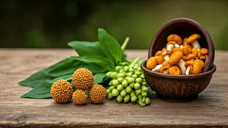 Forest Ingredients Are Entering India’s Food Chat