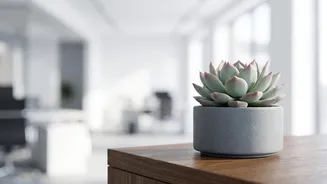 Everyday Saving And Investing Habits Take Centre Stage In Wealth Building: The Key Context To Know