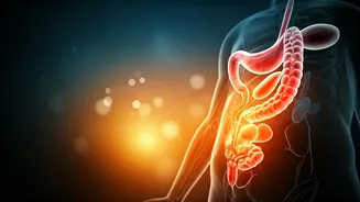 Beyond the Scale: Indian Women Embrace Hormone-First Nutrition and Break Free from Diet Culture