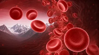 High Altitude's Secret: Red Blood Cells Might Hold the Key to Lower Diabetes Rates