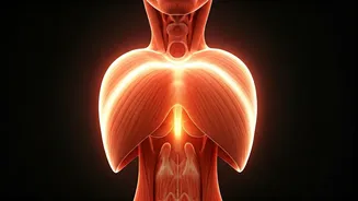 Calm Your Nerves Before Big Meetings Using Rhythmic Breathwork