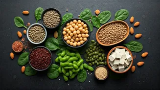 Vegetarian Protein Plans Are Taking Over