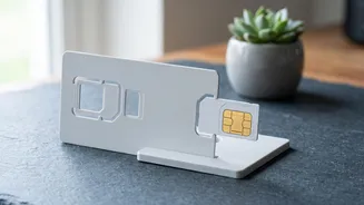 August 24 SIM Rule: What Indian Users Should Check Before Applying