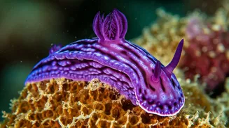 5 Astonishing Purple Animals: Nature's Painted Wonders