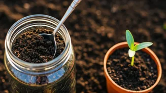 Spring Soil Secrets: Unlocking Garden Readiness Before You Plant