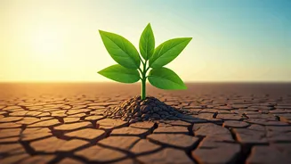 India's Emission Curb Targets: What You Need to Know