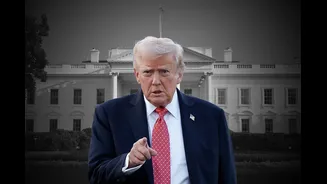 Tarifaço de Trump traz política externa ao debate eleitoral em SP