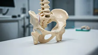 9 Winter Hip Mobility Boosters Recommended by Orthopedists