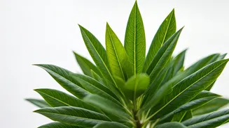 Nurturing Well-being: 7 Lifestyle Shifts for Enhanced Health