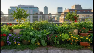 More Homeowners Are Investing In Terrace Gardens