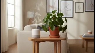 Use Raised Stands To Bring Scent Closer Without Filling The Floor