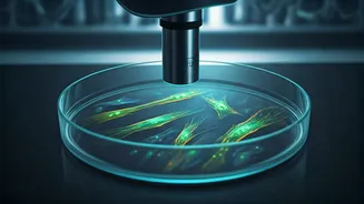 Stem Cell Breakthrough: A New Dawn for Parkinson's Disease Patients?