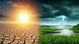 Some Places Shine While Others Struggle In Monsoon