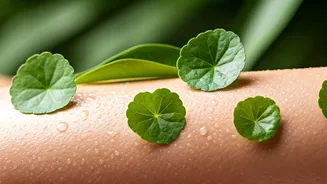 How To Hydrate Oily Monsoon Skin With Korean Botanicals