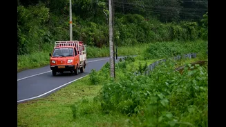 IMD Issues Red Alert for Heavy Rainfall in Kerala on October 25-26