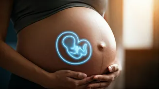 Related Stories banner