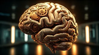 Exercise Can Boost Your Memory and Brainpower