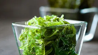 Algae Food Containers: Sustainable Indian Startups Replace Plastic Boxes In Modern Metros