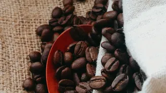 Specialty Single-Origin Coffee: Youth Swap Instant Brews For South Indian Estate Roasts