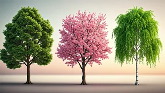 Unlock Your Hidden Talents: Pick a Tree and Discover Your Unique Strengths