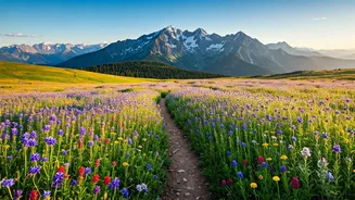Valley Of Flowers Trek Open From June To October