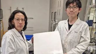 This paint can keep your house cool
