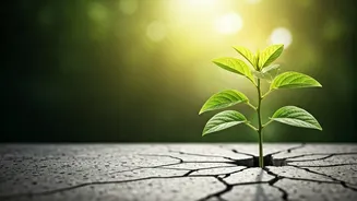 Gen Z's Career Goals: Growth & Purpose Over Titles