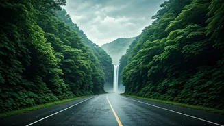 Plan Budget Friendly Monsoon Road Trips To Gorgeous Green Chikmagalur