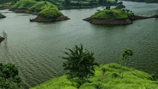 When To Air Out Your Home During India's Rainy Season