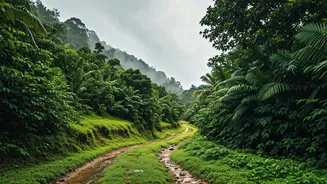 Kerala Monsoon Travel Is The Cheat Code To Save