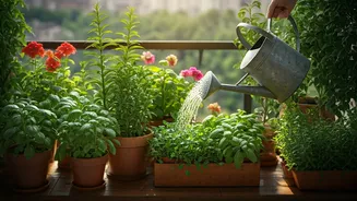 Urban Gardening Guides Detail Foolproof Watering Schedules For Anxious Beginners