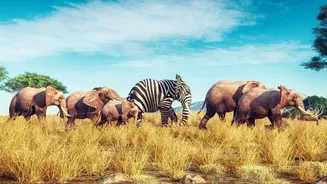 Discover Reopened Safari Zones In Satpura National Park This Autumn Season