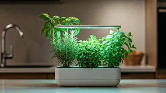 Countertop Gardens Are The New Urban Kitchen Mood