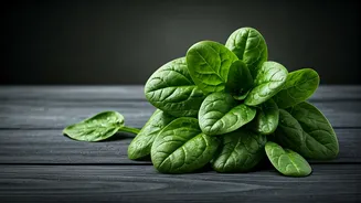 Spinach: A Nutritional Powerhouse, But Should You Eat It Raw? Expert Insights